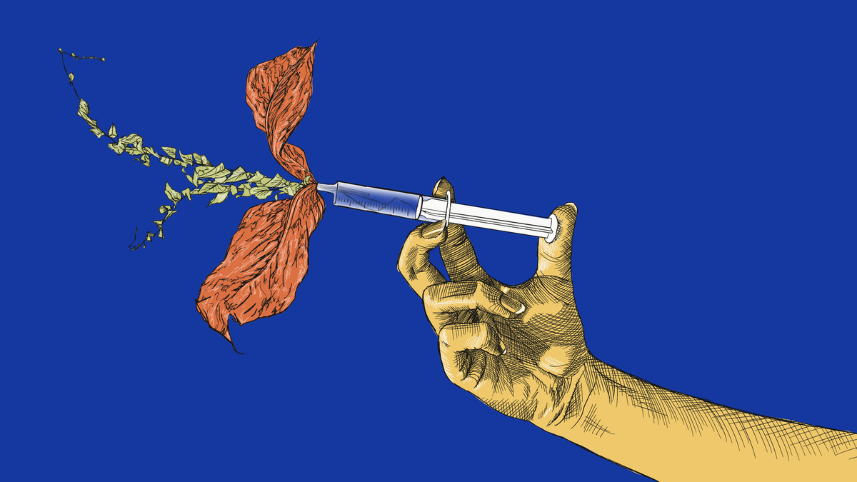 Herbs over needles: Misinformation promoting natural remedies over vaccines in Nigeria